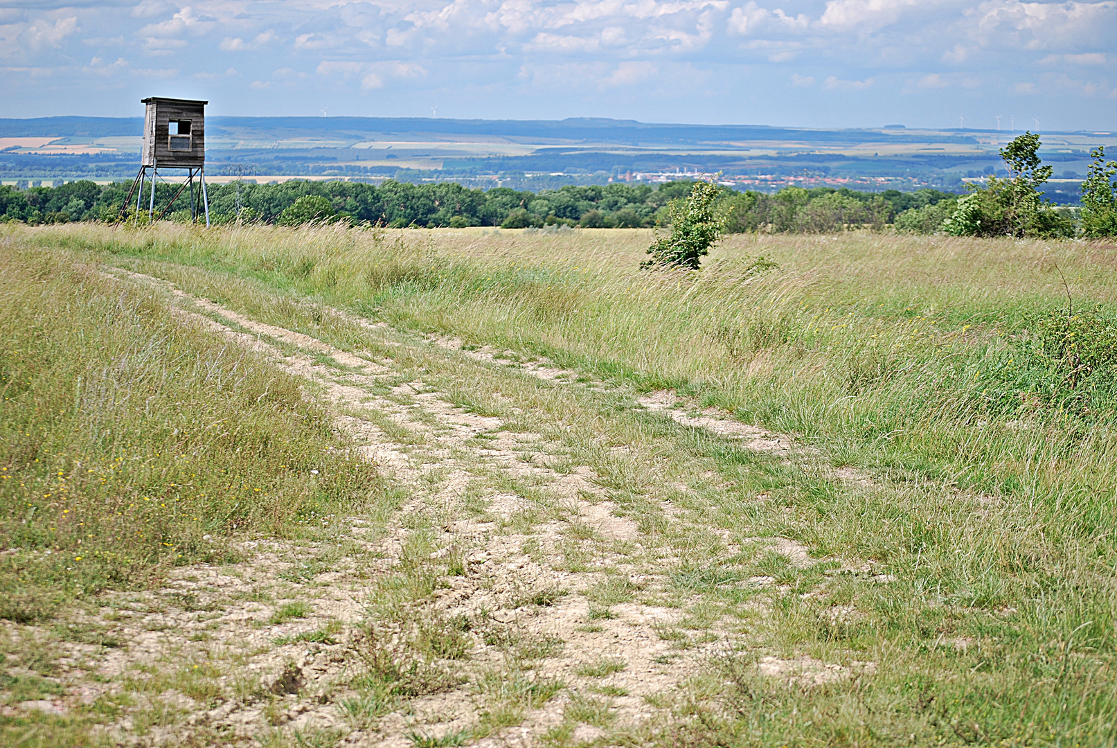 der Weg, der Wind und die Weite...