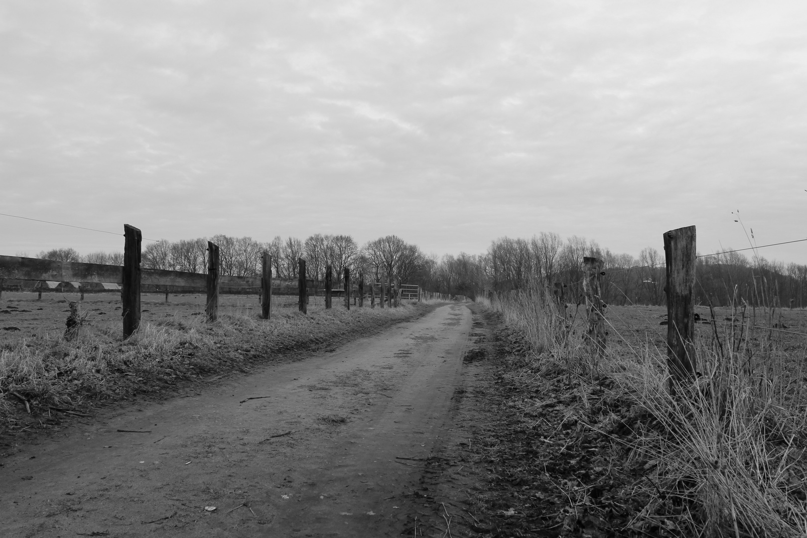 Der Weg des Bauern