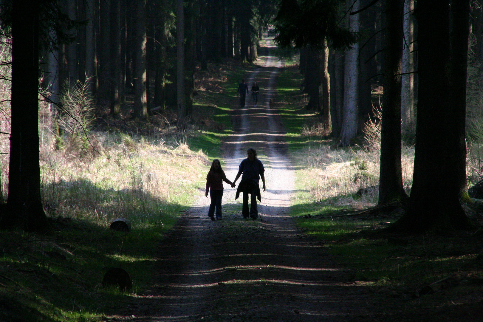 Der Weg des Lebens