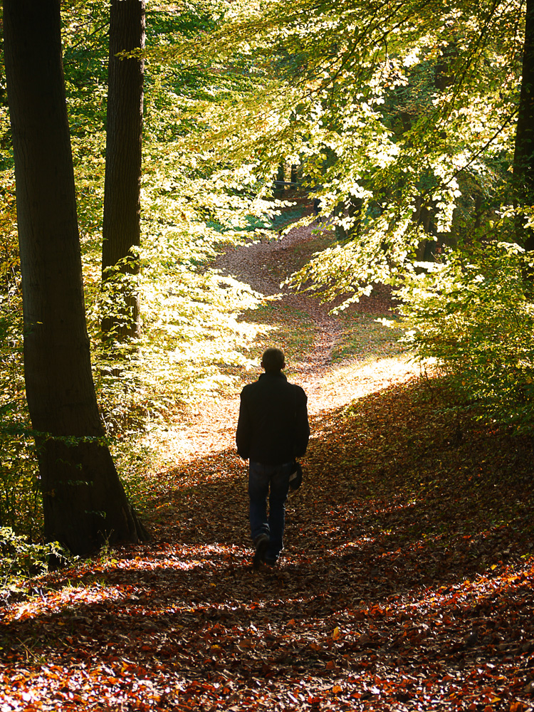 Der Weg des Lebens...