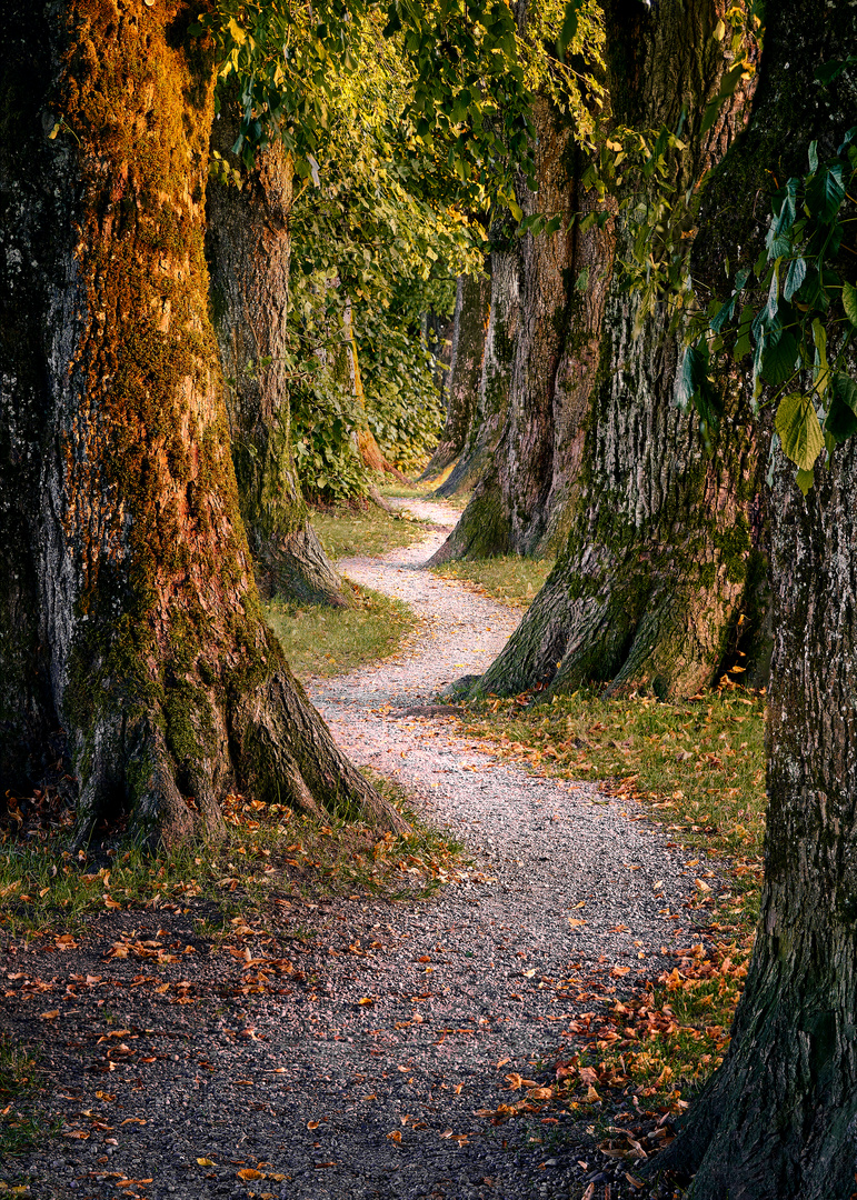 Der Weg des Lebens