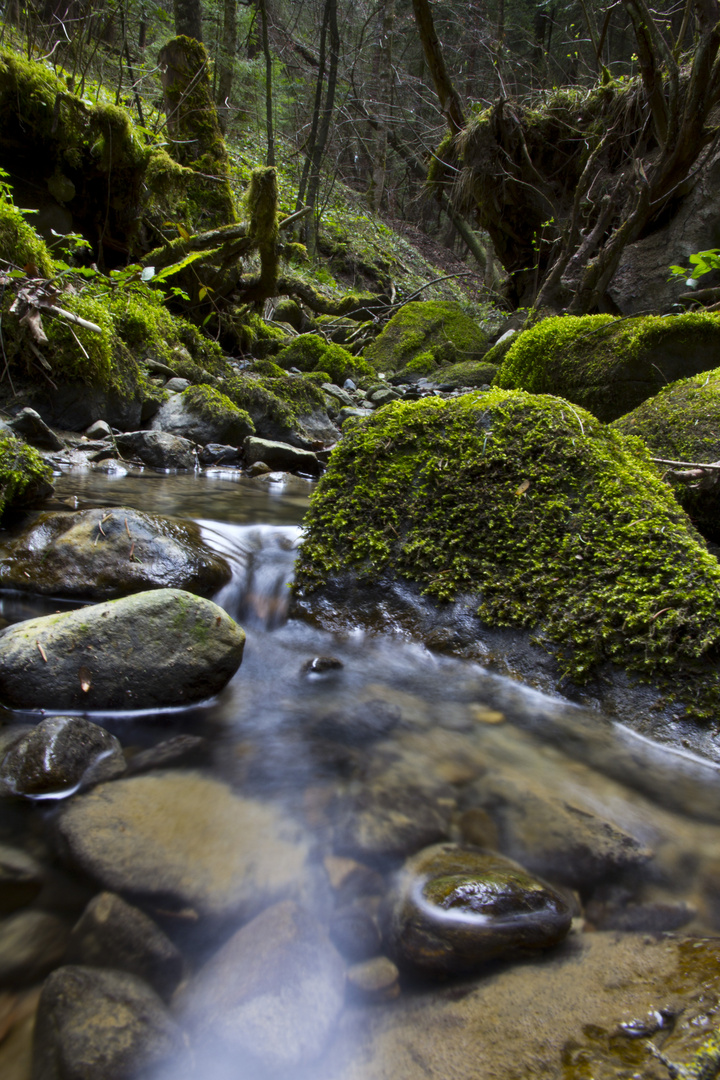 Der Weg des Wassers 2