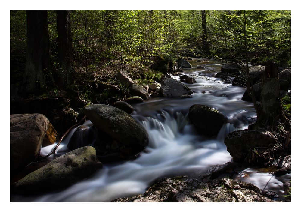 Der Weg (des Wassers)