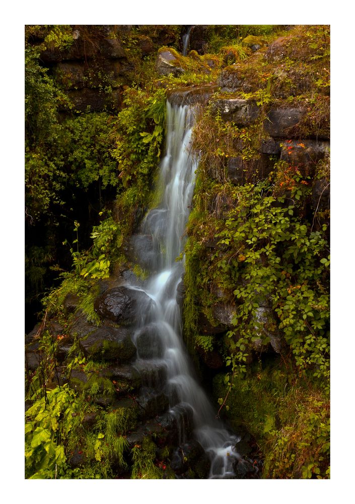 Der Weg des Wassers