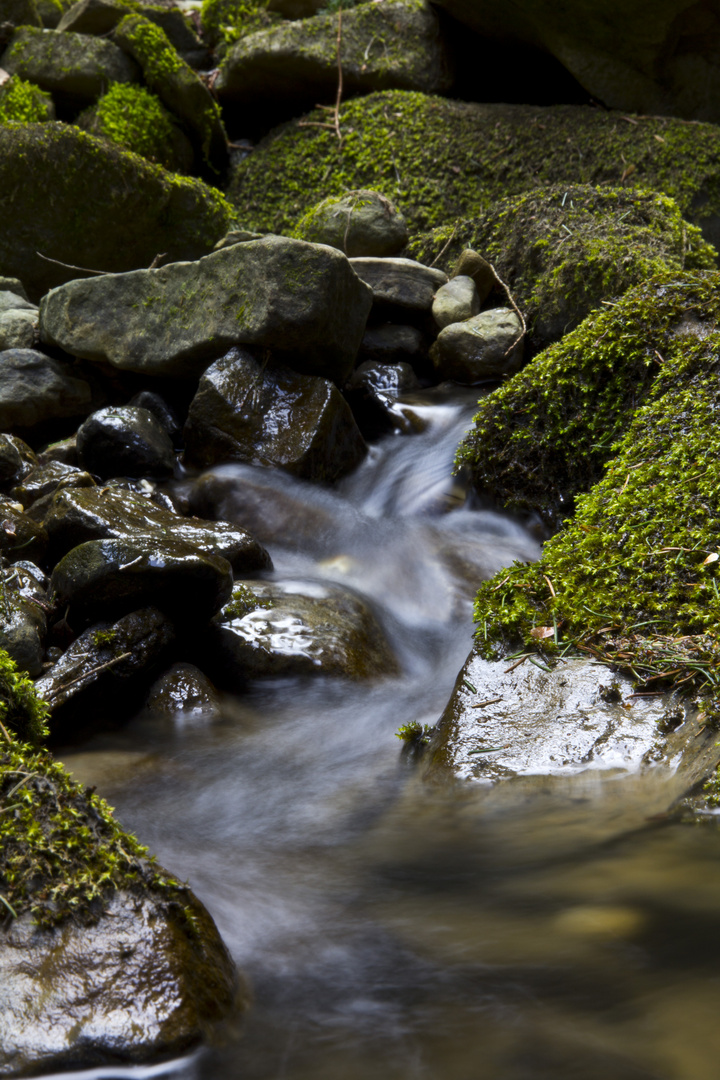 Der Weg des Wassers