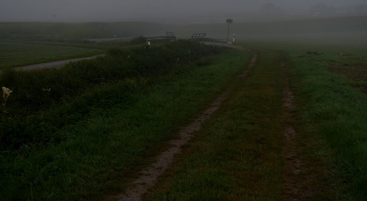 Der Weg, die Brücke, der Nebel