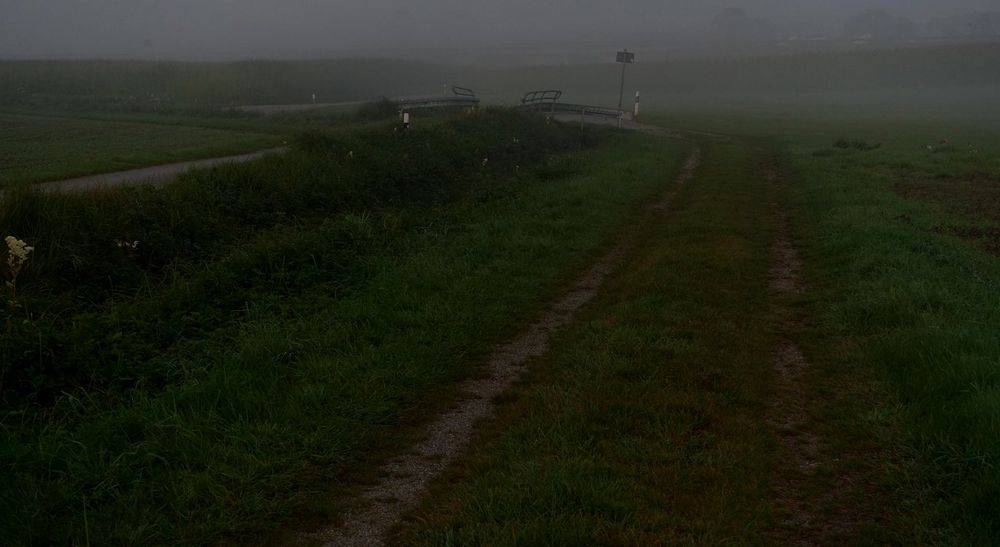 Der Weg, die Brücke, der Nebel