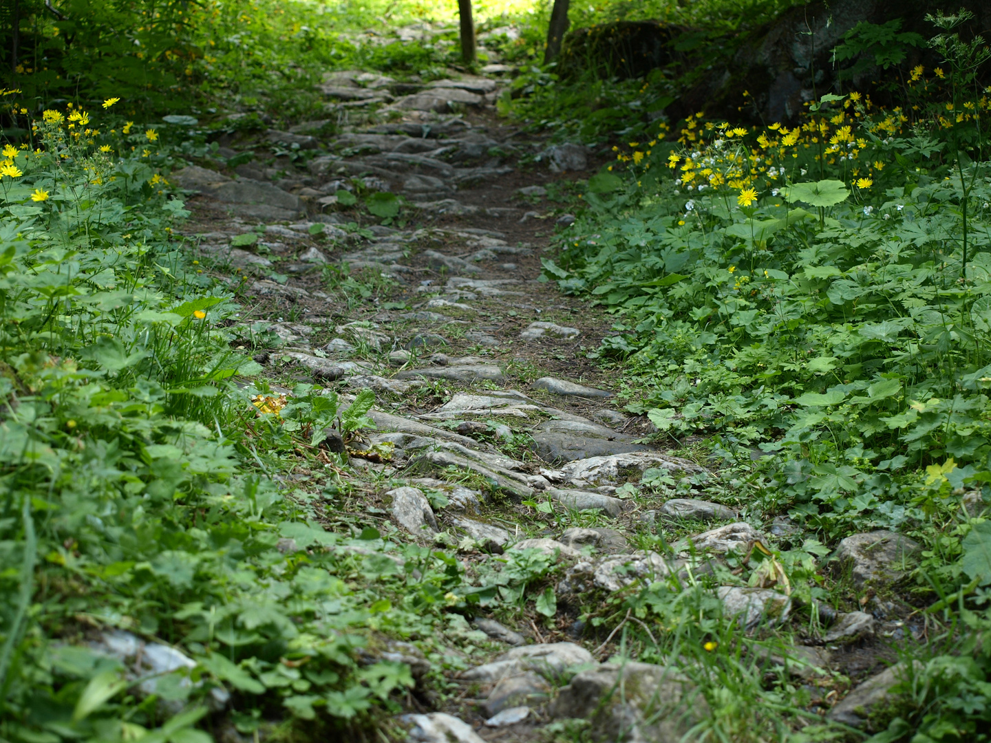 Der Weg, die Wahrheit, das Leben....