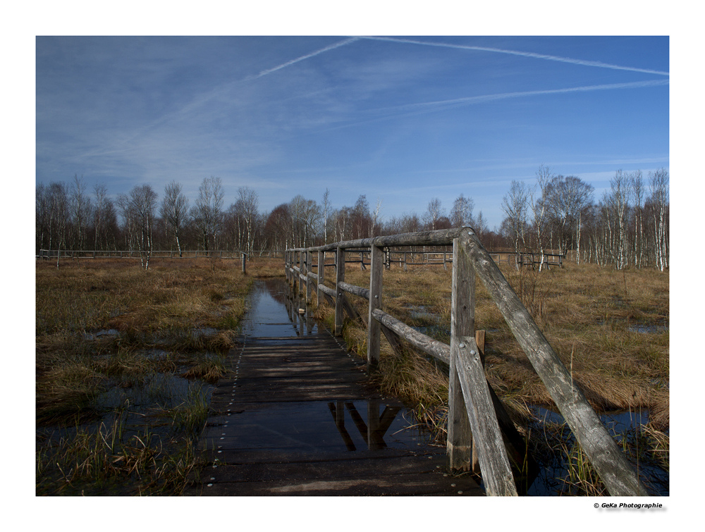 Der Weg duch das Dosenmoor ...