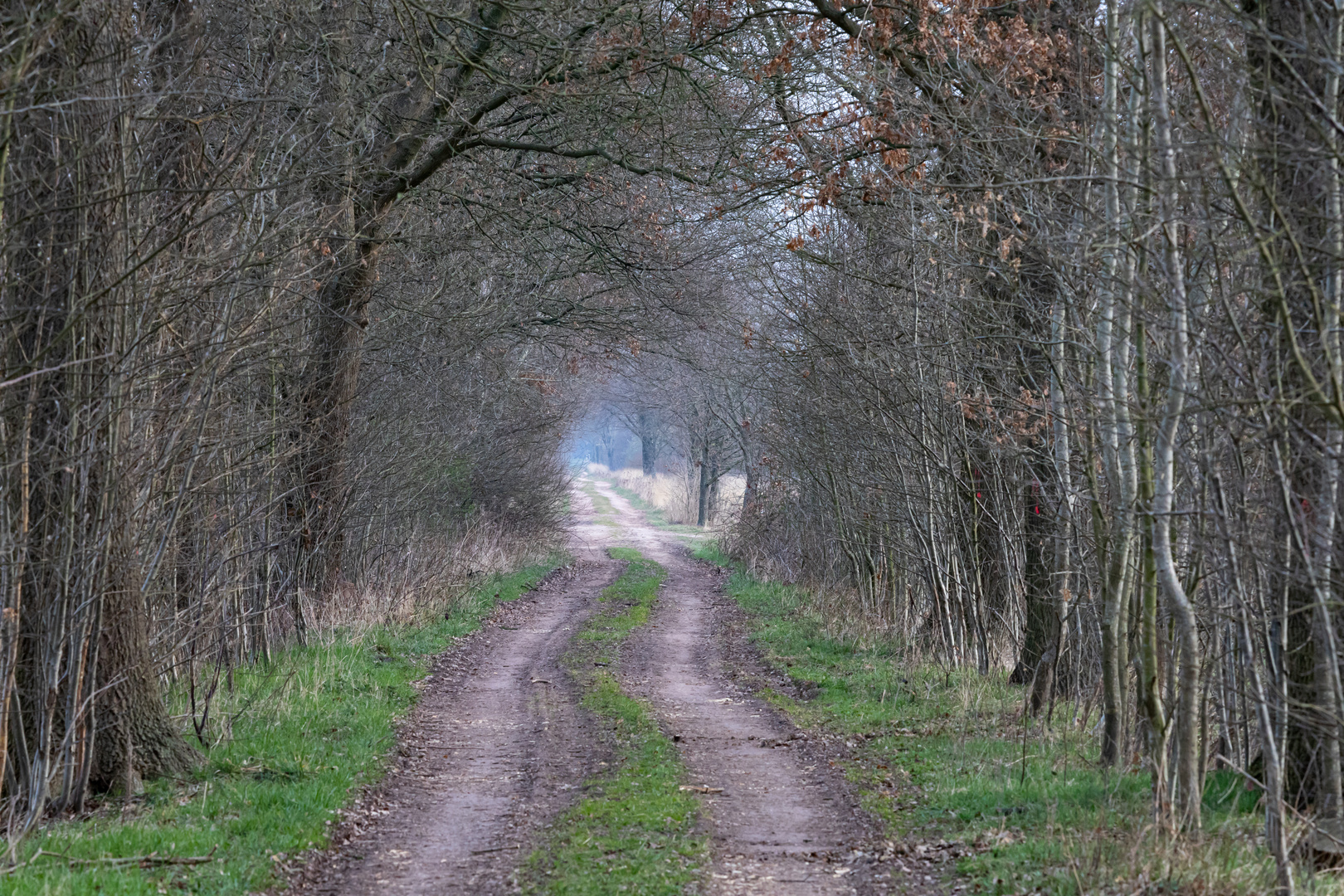 der Weg durch ...