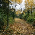 Der Weg durch den Herbst