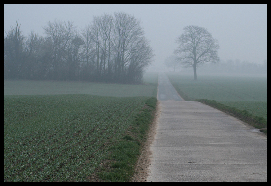 Der Weg durch den Nebel