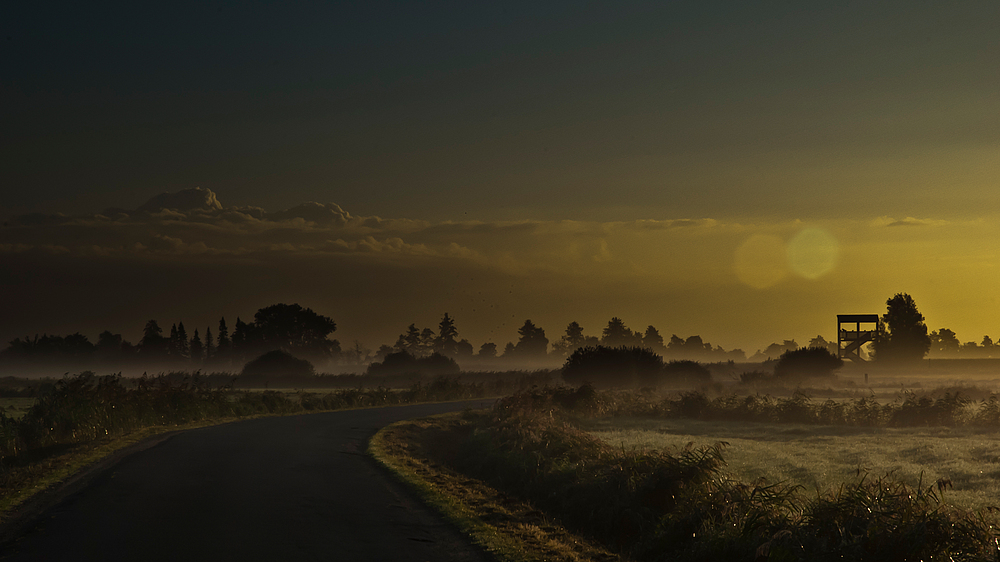 Der Weg durch den Nebel...