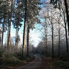 der Weg durch den Raureif-Wald