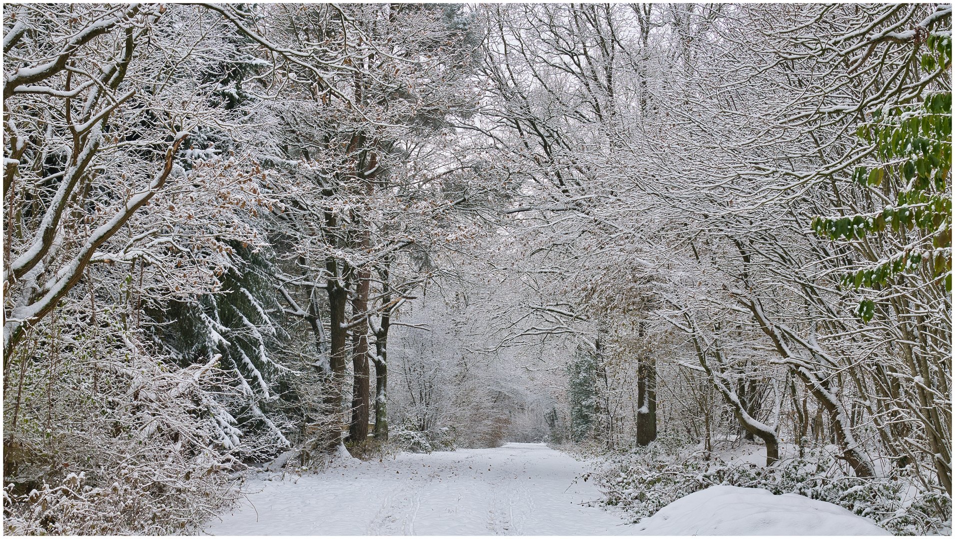 der Weg durch den Schnee