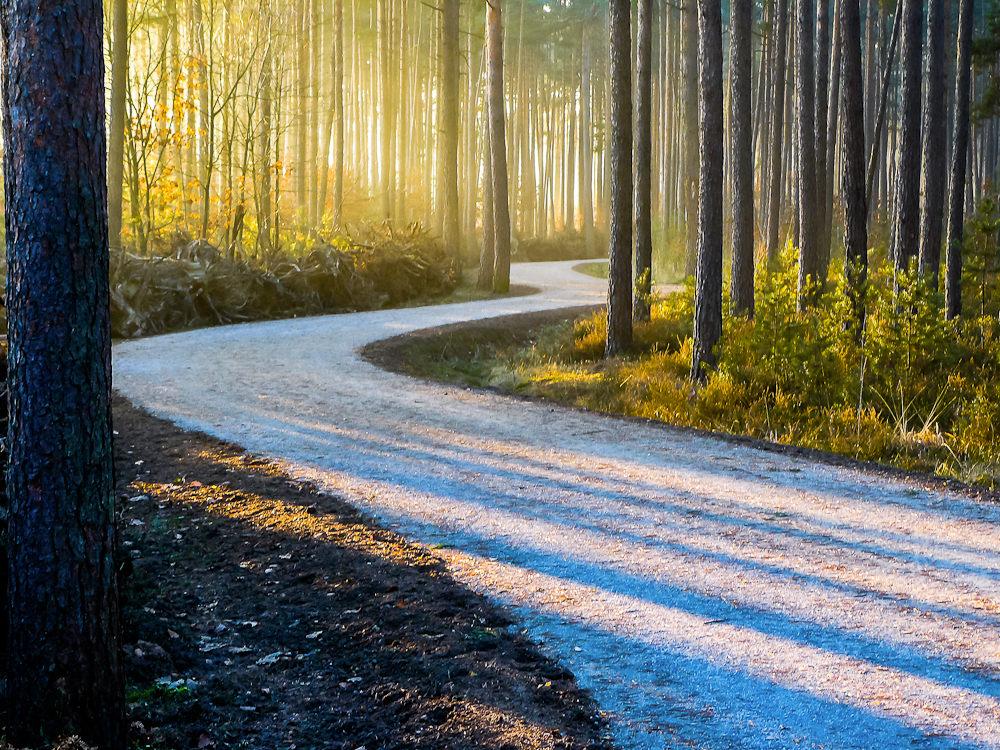 Der Weg durch den Wald Foto & Bild landschaft, wald, natur Bilder auf