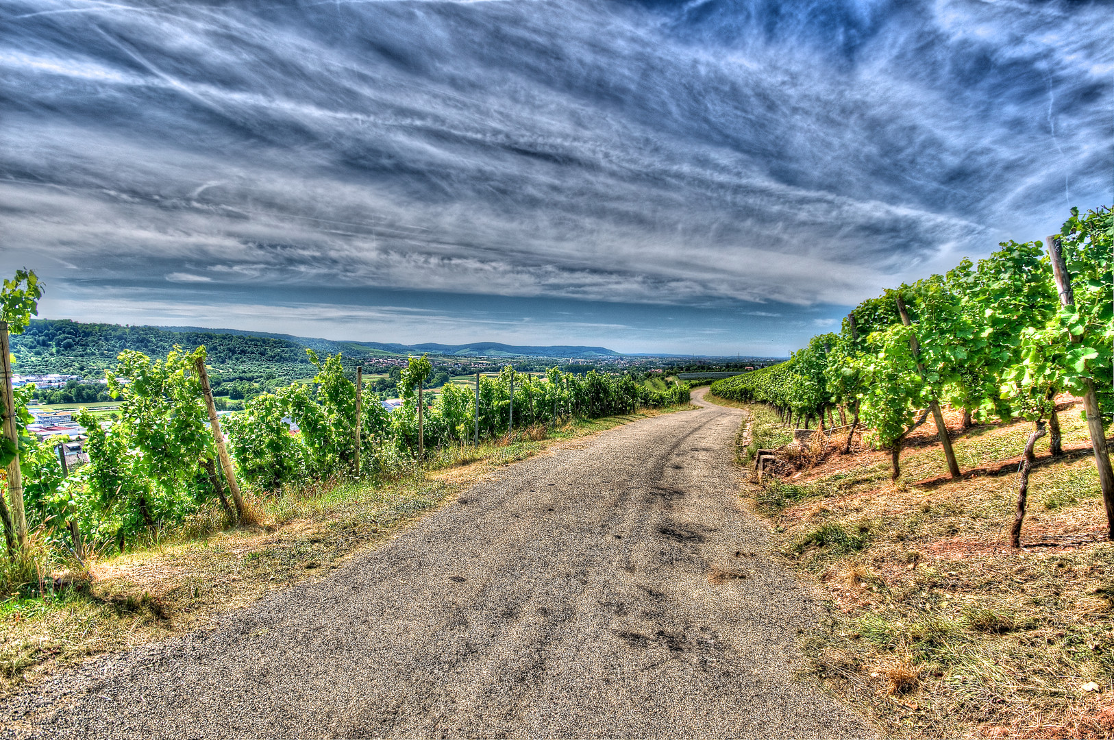 Der Weg durch den Weinberg