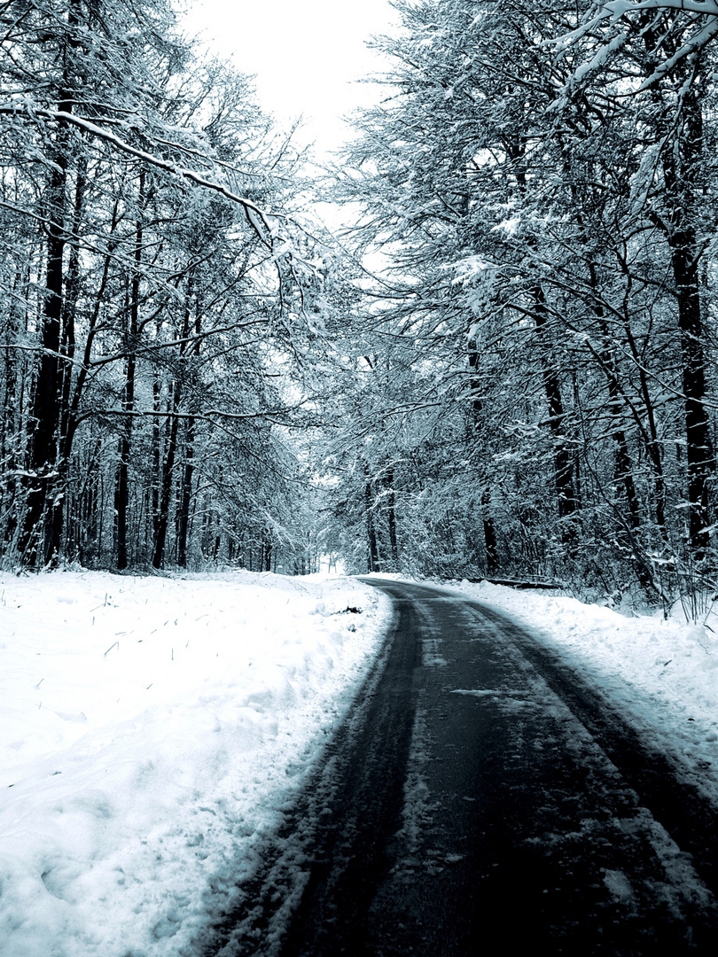 der weg durch den winterwald