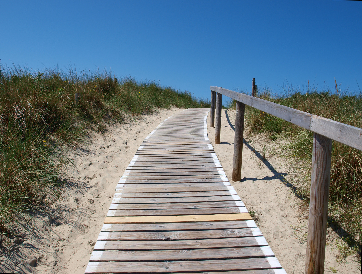 Der Weg durch die Dünen