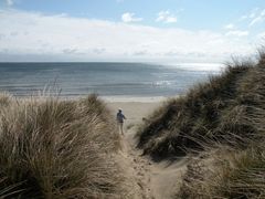 Der Weg durch die Dünen an die Ostsee in Bunken / DK