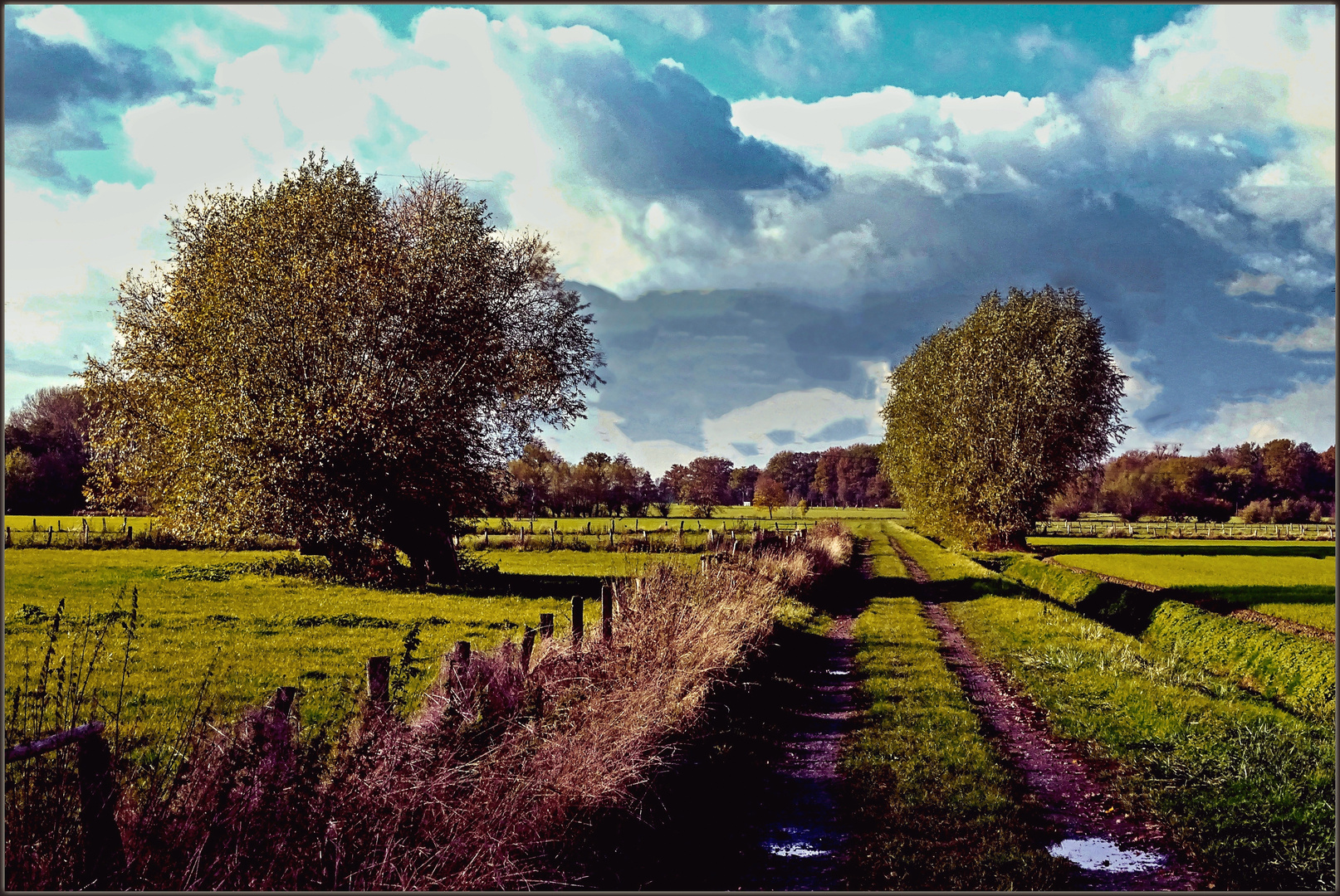 Der Weg durch die Felder