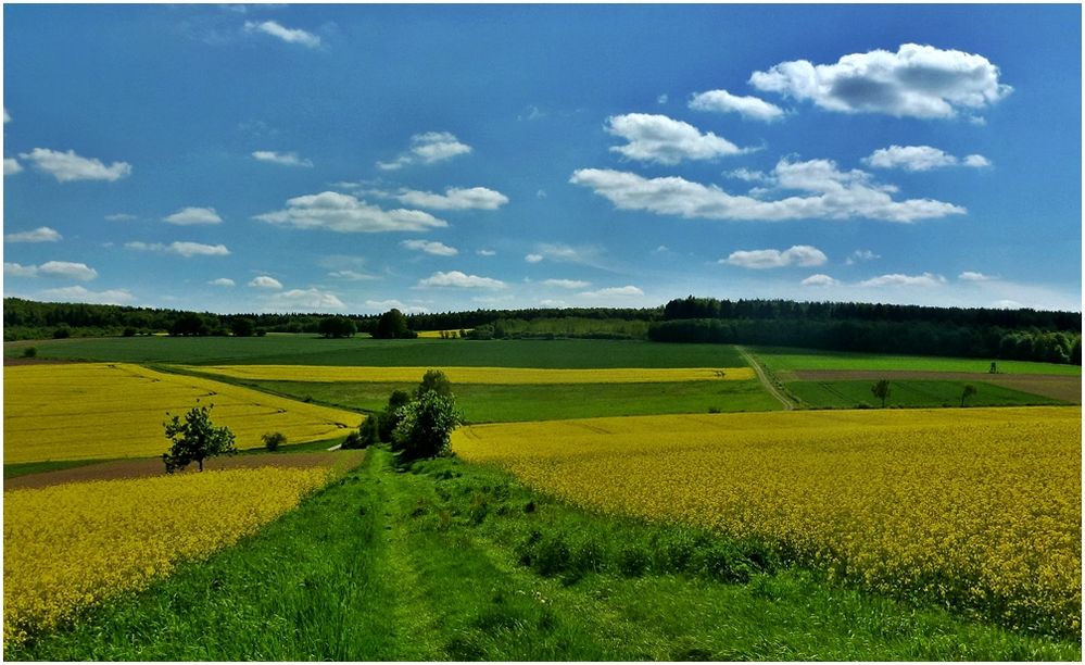 Der Weg Durch Die Felder Foto And Bild Landschaft Äcker Felder