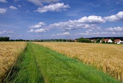 Der Weg durch die Gerstenfelder