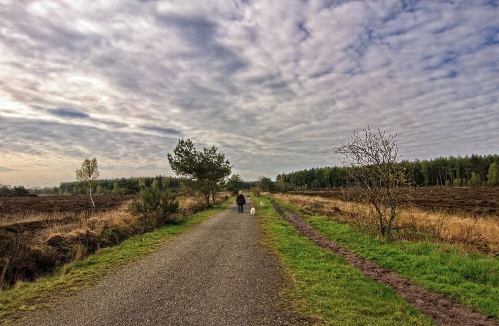 Der Weg durch die Küstenheide