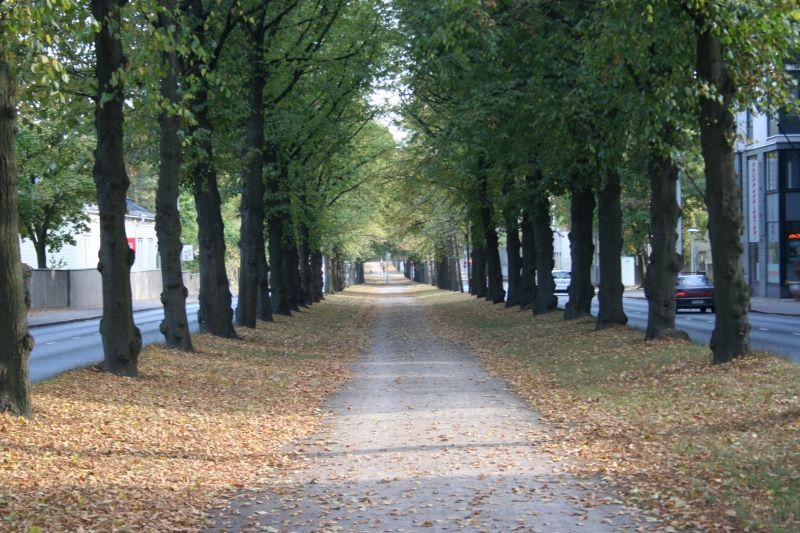 Der weg durch die Mitte