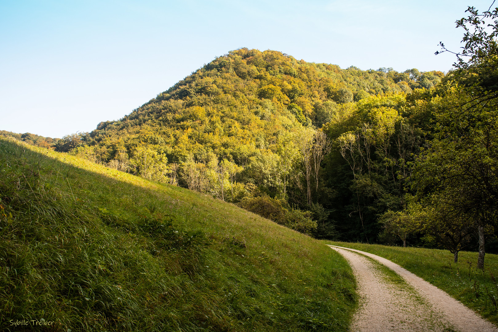 Der Weg durch die Natur