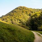 Der Weg durch die Natur