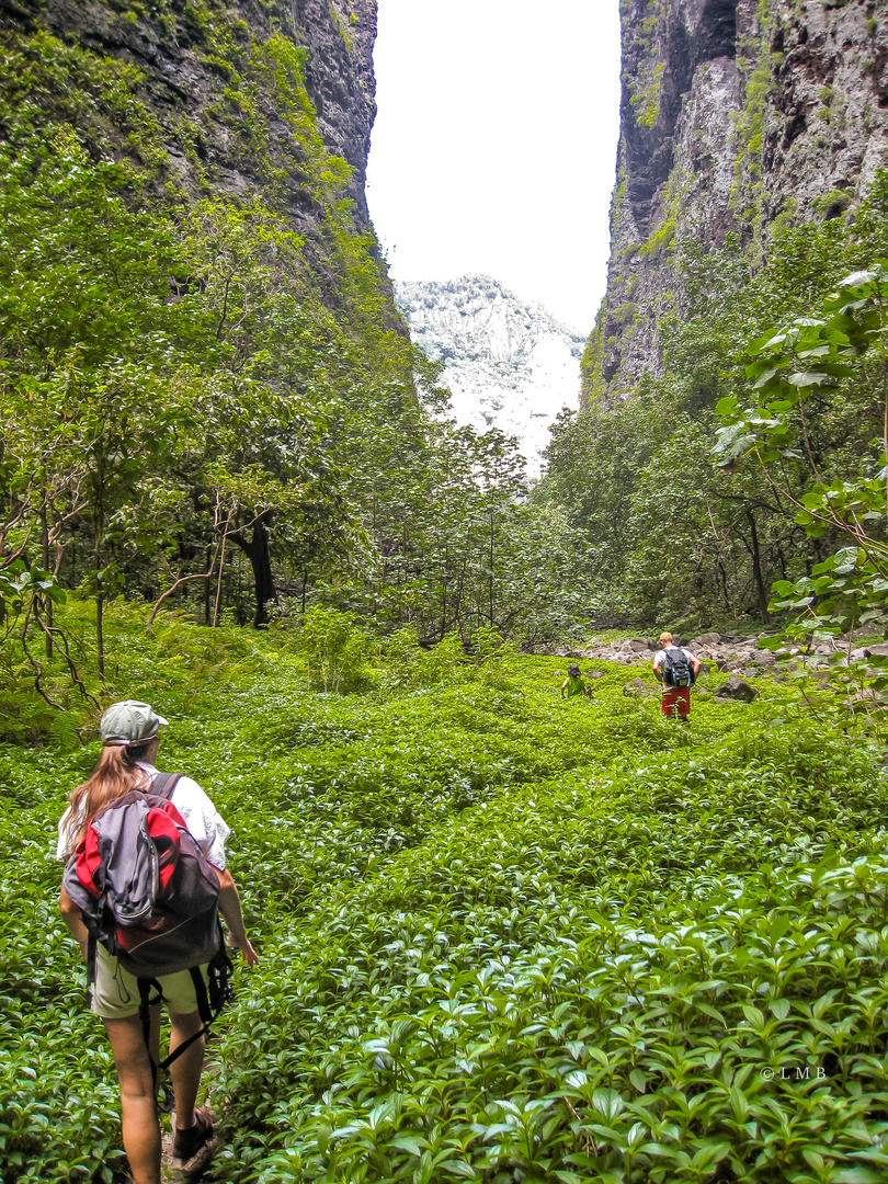 Der Weg durch die Schlucht