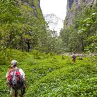 Der Weg durch die Schlucht