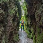 der Weg durch die Schlucht