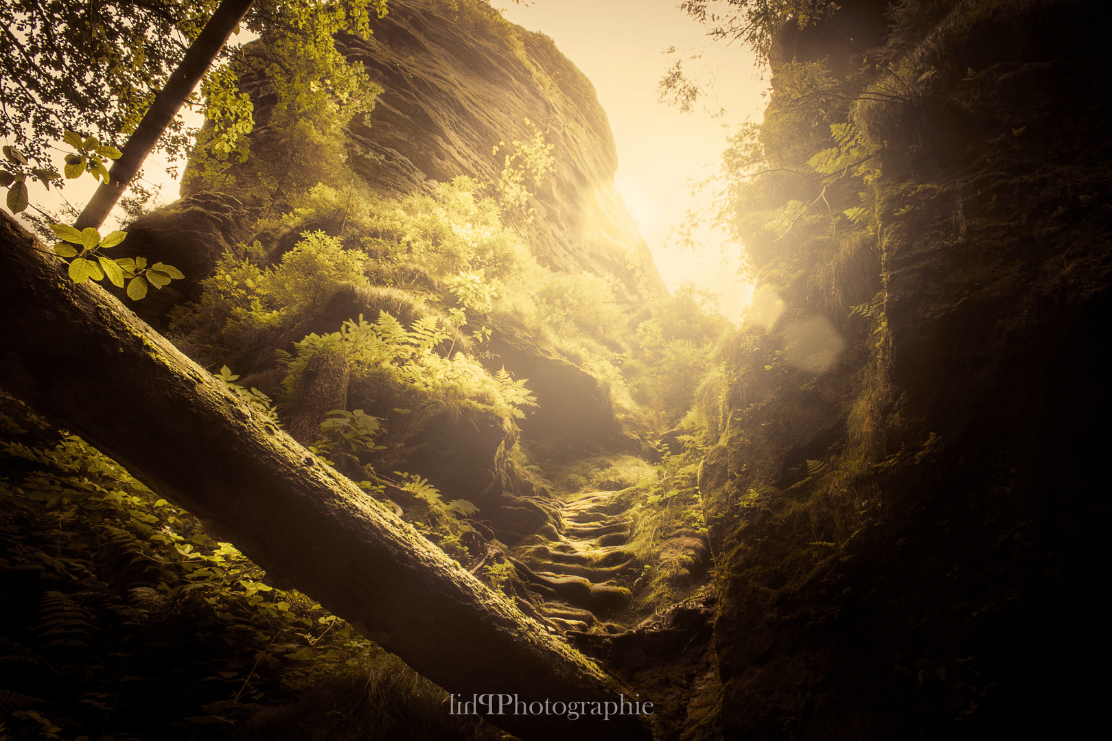 Der Weg durch die Schwedenlöcher 2