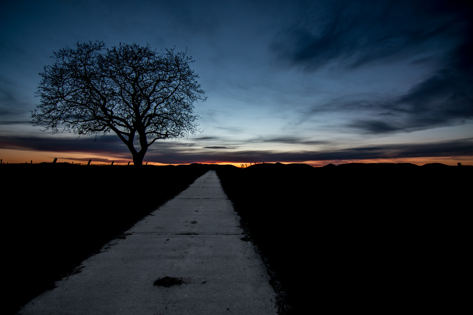 Der Weg durch die Traubenfelder