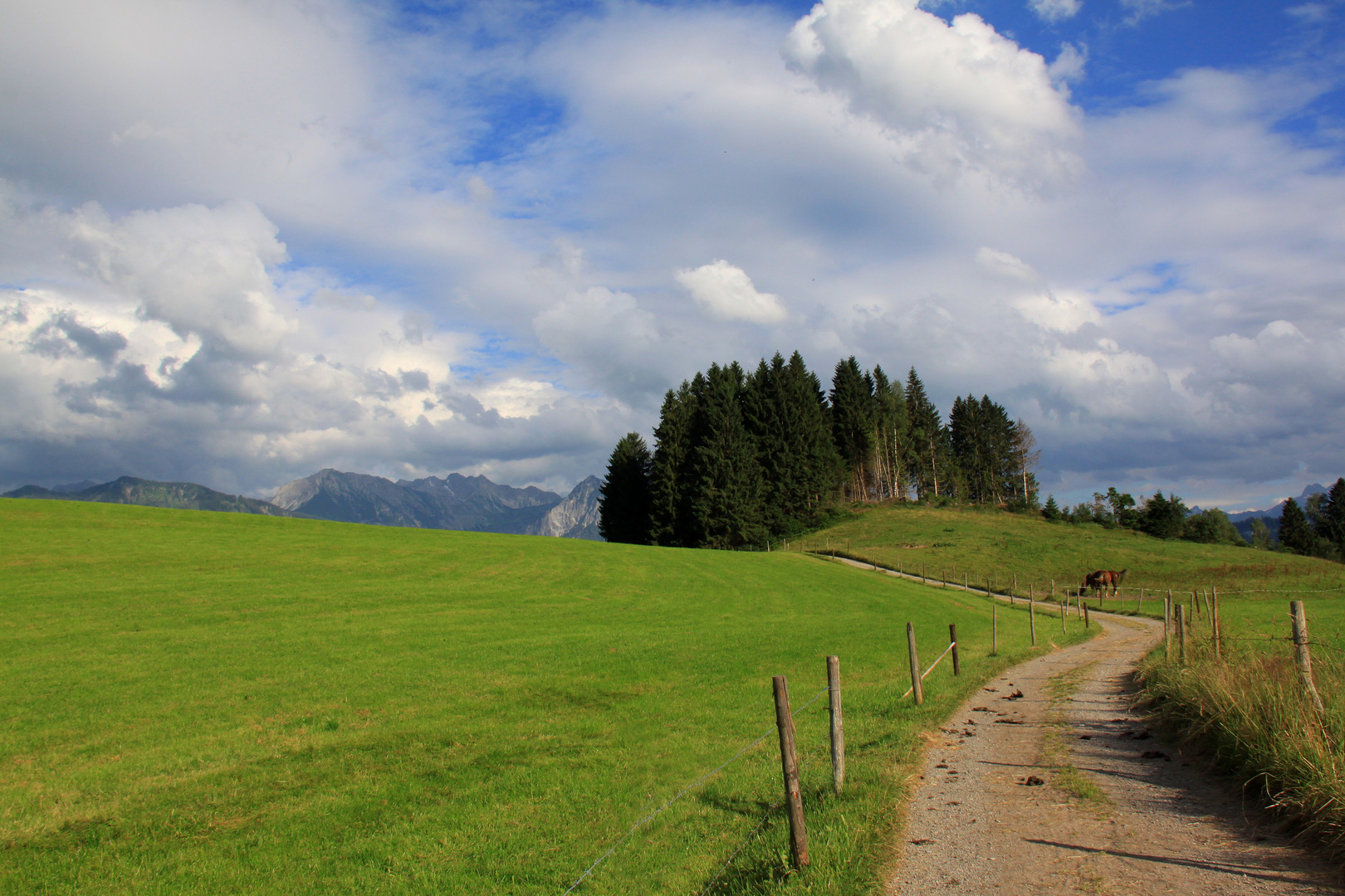 Der Weg durch die Wiesen