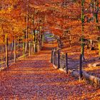 Der Weg durch Herbst