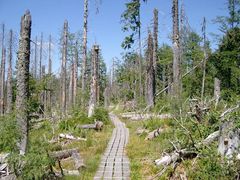 DER WEG: durch Tod und Verfall sicheren Schrittes zu gehen