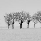 Der Weg durchs Feld