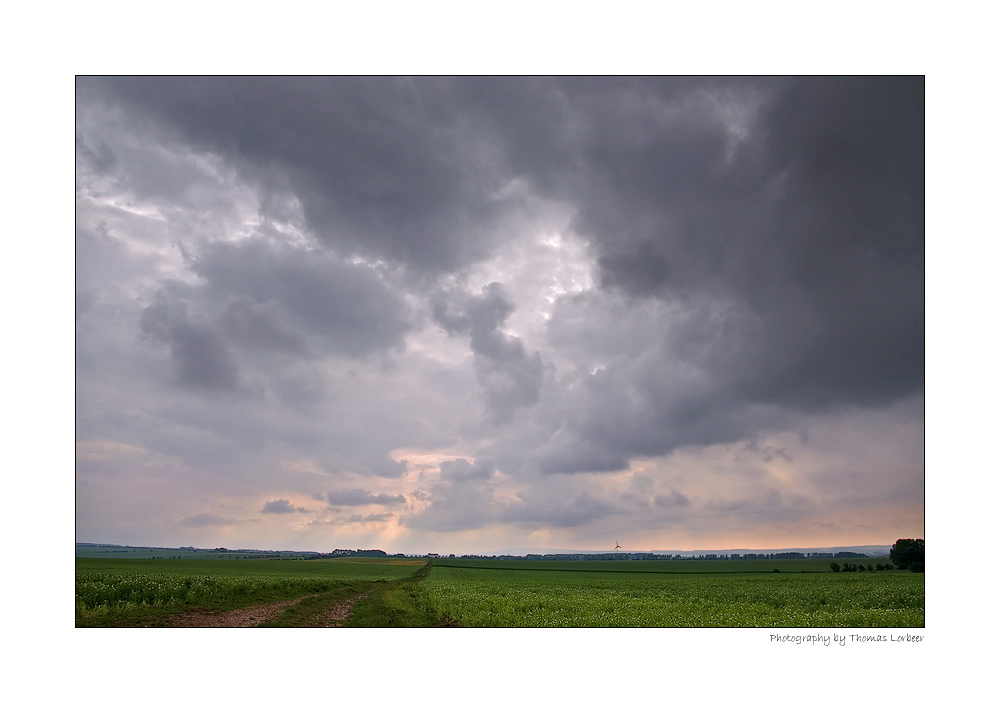 Der Weg durchs Feld