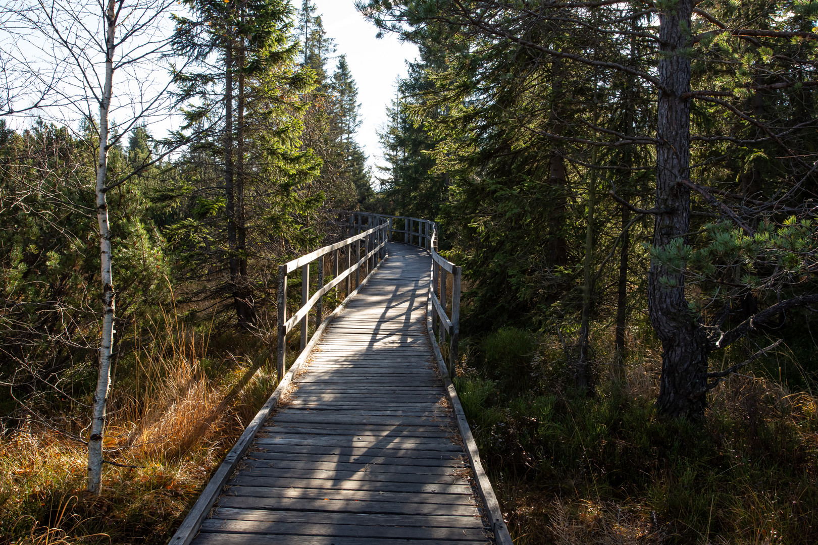 Der Weg durchs Hochmoor