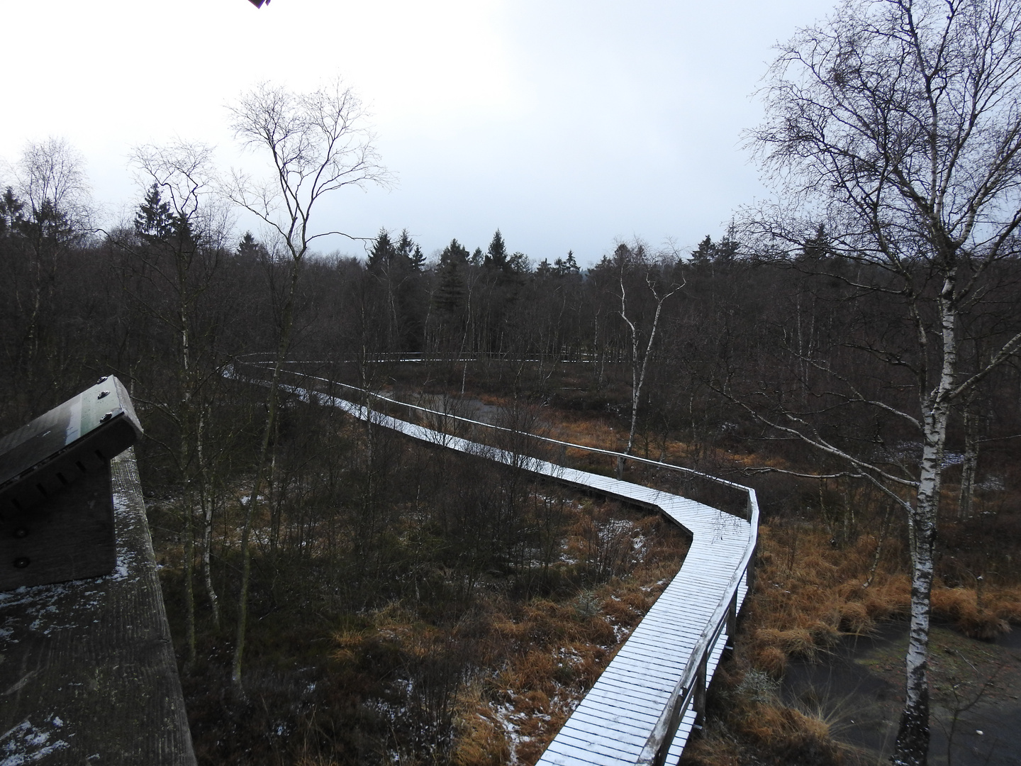 Der Weg durchs Moor