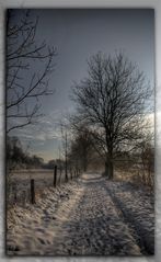 der Weg durchs Winterwunderland