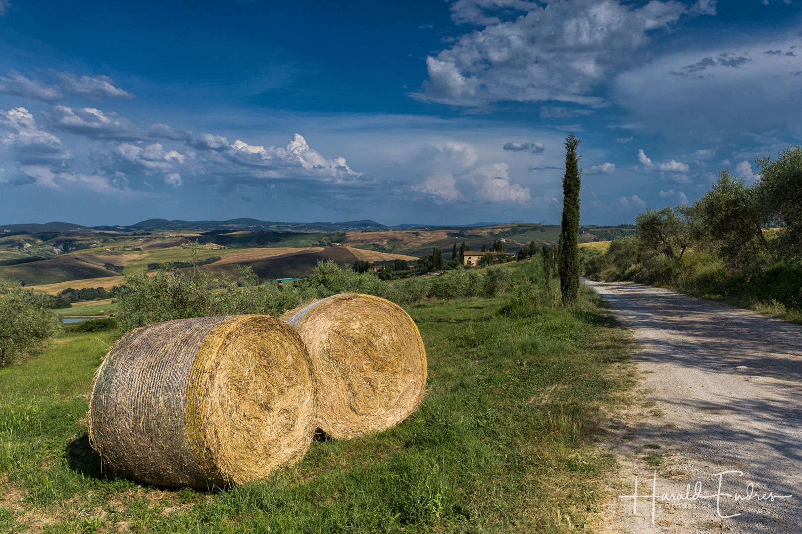 Der Weg