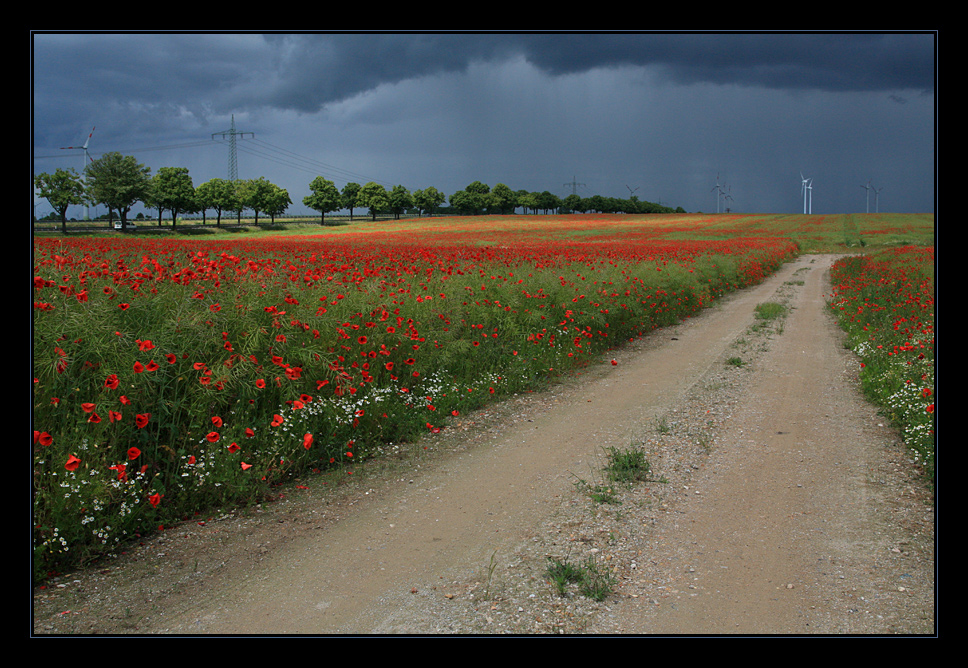 Der Weg...