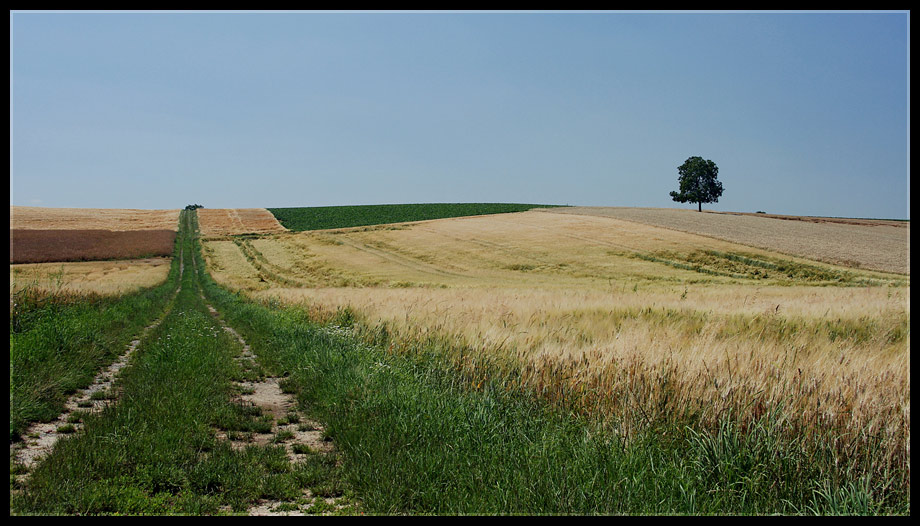 Der Weg