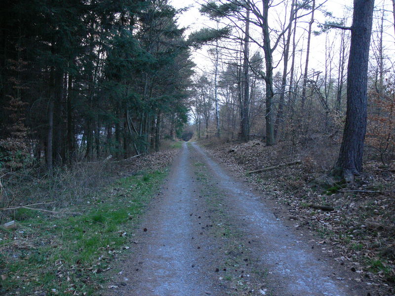 der weg