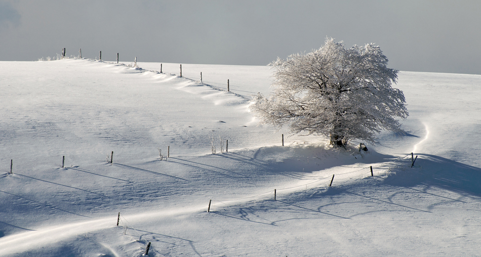 Der Weg...