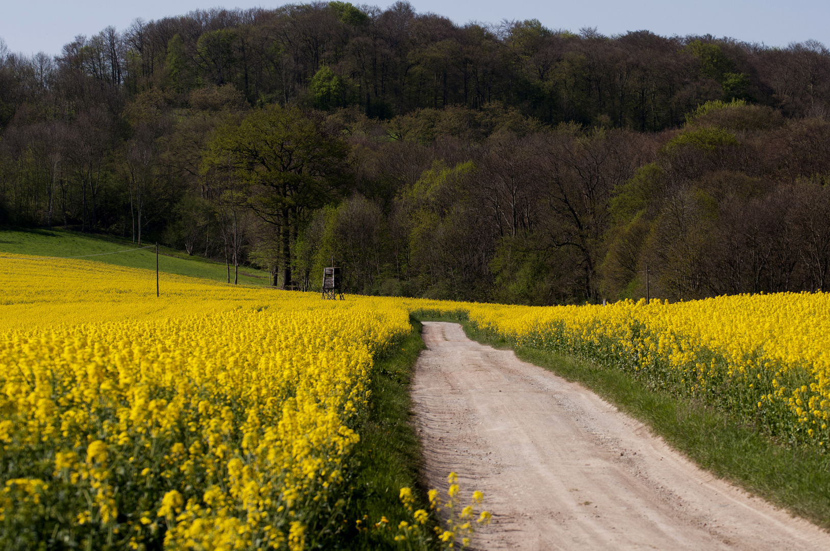 Der Weg